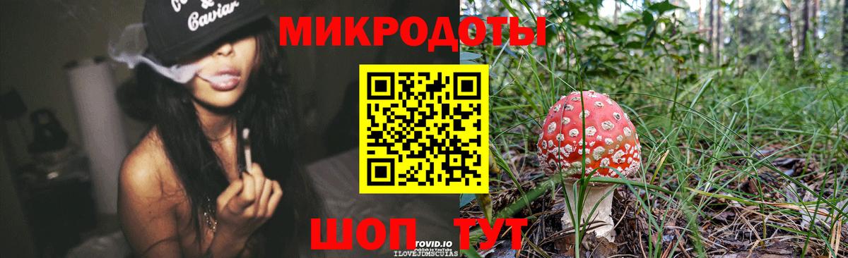 Галлюциногенные грибы прущие грибы Лыткарино