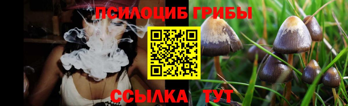 Галлюциногенные грибы мицелий  Вход с VPN  Лыткарино  Псилоцибиновые грибы мухоморы 